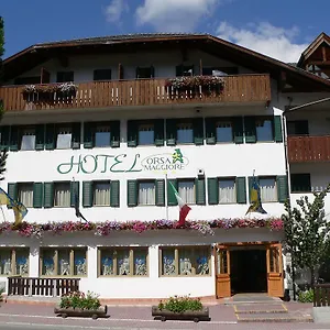 Hotel Orsa Maggiore ***